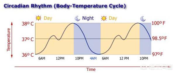 晚上人体温度多少正常:人在睡眠时体温会发生怎样的变化？