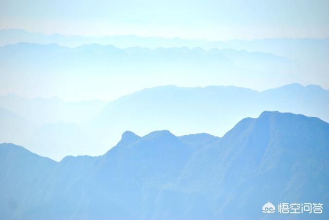 神农架穿越死了多少人，神农架发现“驴头狼”，早已灭绝50万年的生物，为何又突然出现