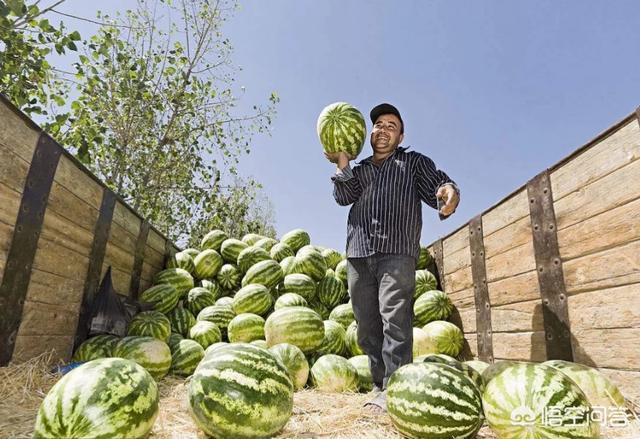 乌兹别克斯坦甜瓜有多甜，乌兹别克斯坦是个怎样的国家？