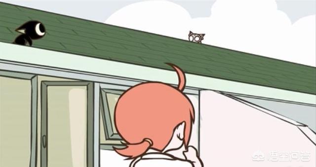 冀师傅天然猫粮怎么样:在15～30一斤的猫粮里，有什么品牌性价比高？