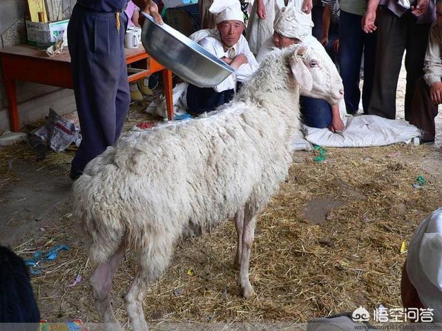 汉族习俗,按汉族习俗兄弟间如何祭奠？