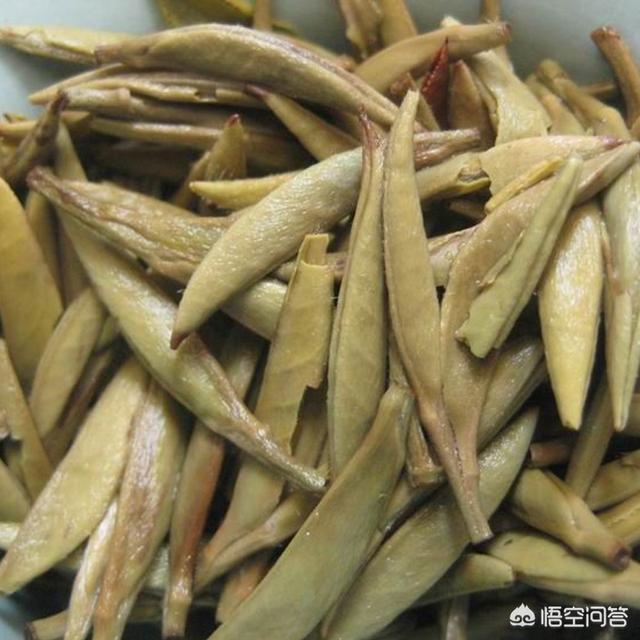 白茶散茶好还是茶饼好,咨询一下，白牡丹是茶饼好，还是散茶好？