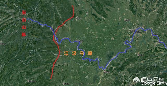 2019长江真龙万人围观，前几天出现的“三峡水怪”是什么，会是未知的生物吗