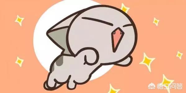 冀师傅天然猫粮怎么样:在15～30一斤的猫粮里，有什么品牌性价比高？
