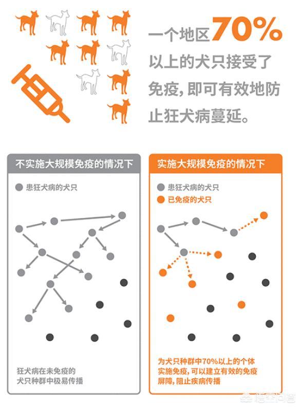 狂犬病发病率:如果给每只猫狗都注射狂犬病疫苗，能否消灭狂犬病？