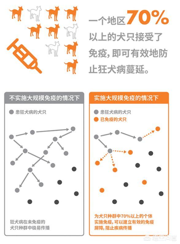 日本狂犬病发病率:如果给每只猫狗都注射狂犬病疫苗，能否消灭狂犬病？