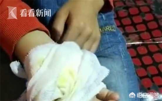 男子当街生火烤狗暴殄天物:游客凉山林区野炊引众怒，违反用火禁令被拘10天, 你怎么看？