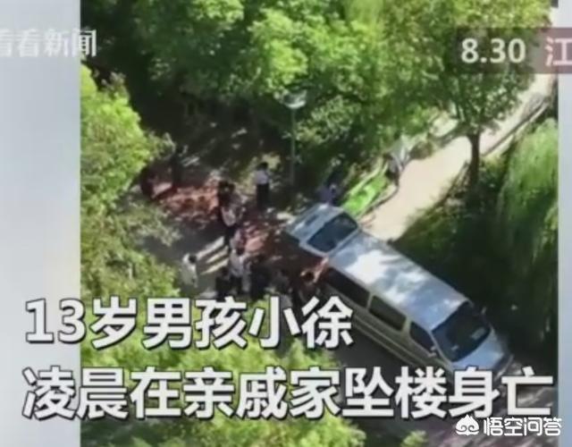 海门市13岁小学生因“吃鸡”游戏跳楼,父母状告游戏公司后欲状告牛顿,你怎么看？