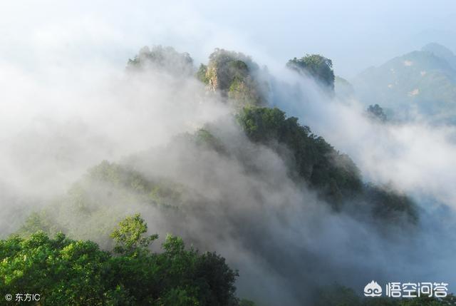 萨路基沙漠追羚羊视频:为什么有人宁愿花5个小时走国道，也不愿意走2个小时的高速？