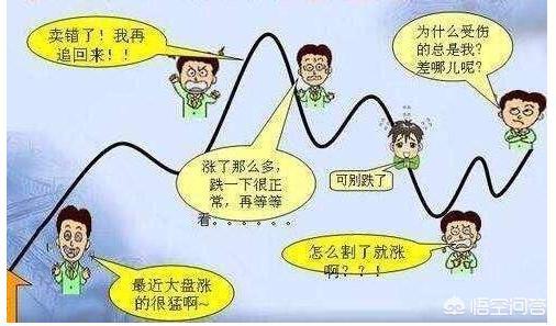 主力到底能不能看我们散户的账户，主力是根据什么来判断选股的？