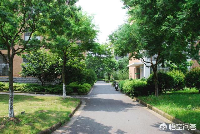 衢州学院新生群:衢州学院宿舍条件如何啊？学校是怎么安排的？(衢州学院宿舍怎么样)