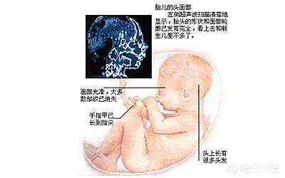 头条问答 怀孕八个月胎儿正常的体重有多少呢 16个回答