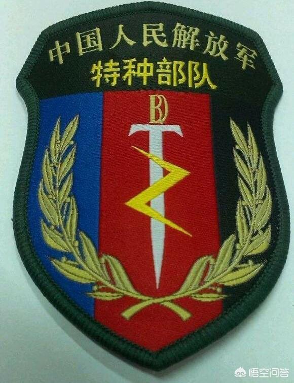 武警,特警和特种部队有什么区别?什么情况出动武警,特警和特种部队?