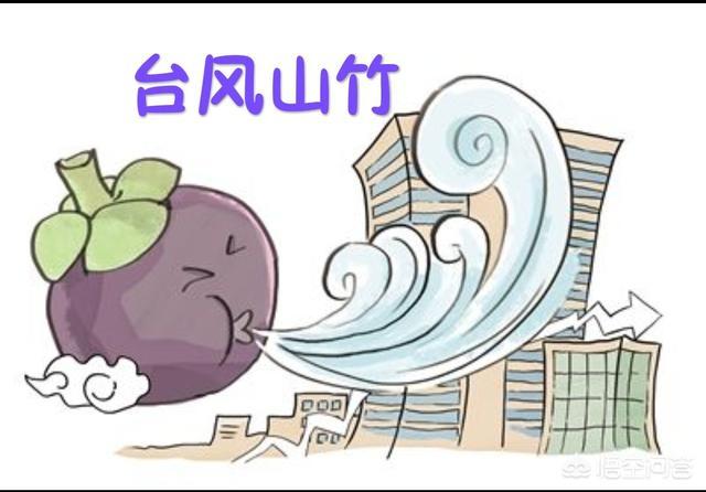 台风“山竹”袭击了广东,一新小区许多玻璃被吹落,开发商、物业就赔偿问题相互扯皮,应该怎么办？