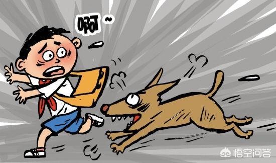 小孩狂犬病的早期症状:在狂犬病发作之前会有什么症状吗？