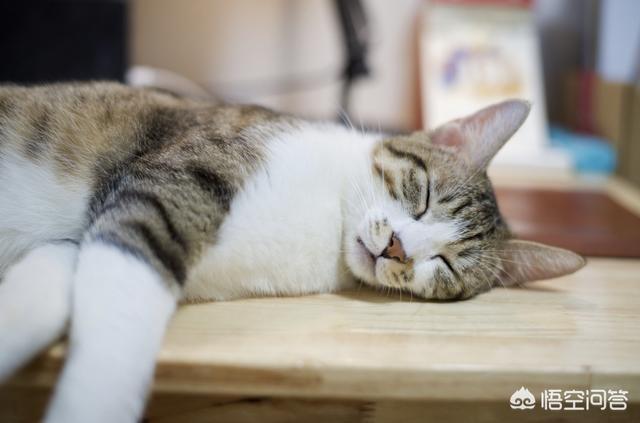 小野猫你别逃:请问卡地亚珠宝钻戒有什么特别的款式好看？