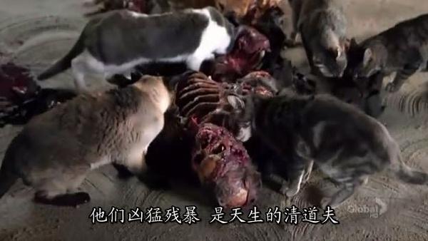 晋宁吃人案:历史上真的有人吃人事件发生吗？最严重的是哪次？