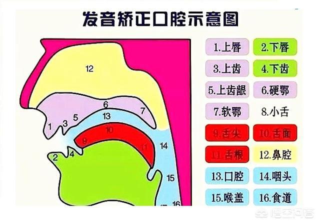 清楚,为什么有人说话分的特别清楚？