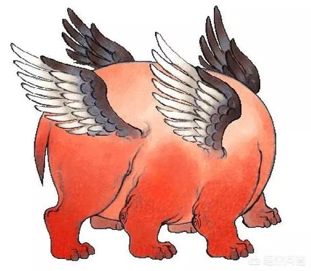 《山海经》里讲述的上古凶兽有哪些？
