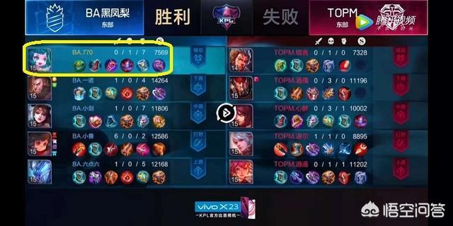 《王者荣耀》蔡文姬全肉好,还是全法好？