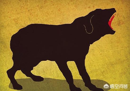 蝙蝠狂犬病的潜伏期:小时候被狗咬，长大后有可能得狂犬病吗？