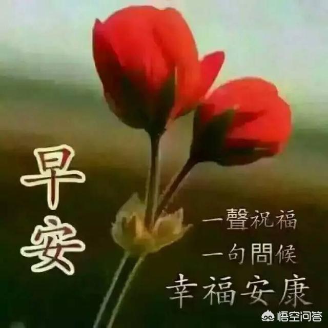 微信早安唯美经典语录短句有哪些