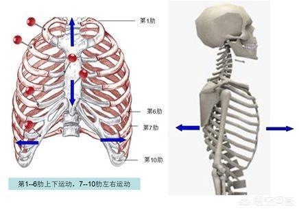 佝偻病的症状及图片:孩子后脑勺没头发，是缺钙吗？