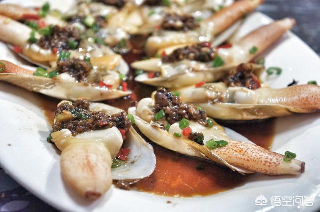 海笋是一种什么东西，象拔蚌怎么抓？吃象拔蚌有什么好处？