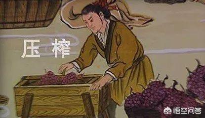 葡萄酒历史起源，葡萄酒起源于什么时候什么时候传入中国