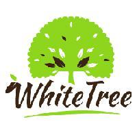 WhiteTree头像