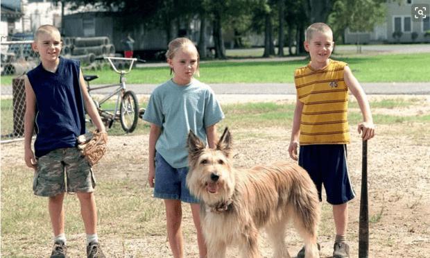 忠犬八公影评:除了忠犬八公，还有哪些好看的宠物电影可以推荐？ 忠犬八公影评1000字