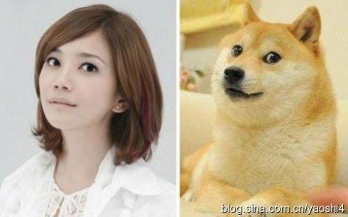 牛头梗孙红雷:如何评价《极限挑战》第六季的超话内容？ 牛头梗孙红雷合照