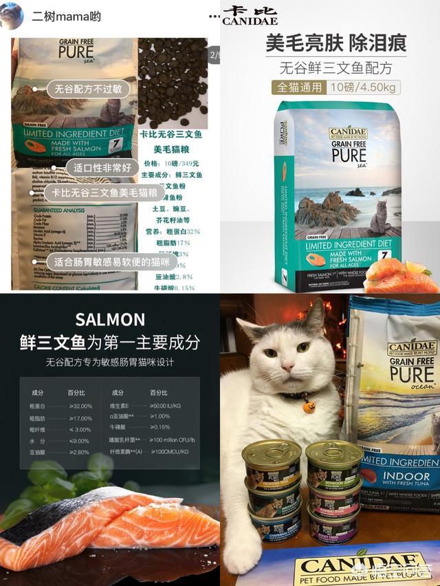 有鱼猫粮是毒粮吗:有鱼猫粮是毒猫粮吗 网上叫嚣着国产猫粮不好，养猫只能喂进口猫粮是什么心态？