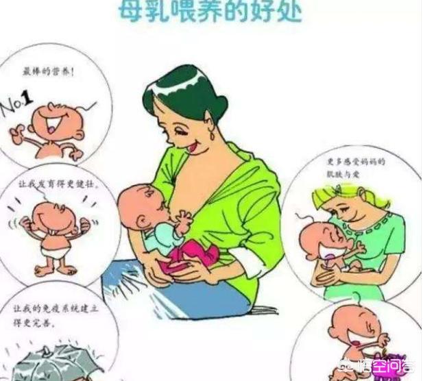 哺乳哺乳:母乳喂养多久最好？怎样断母乳方法才是最合理的呢？