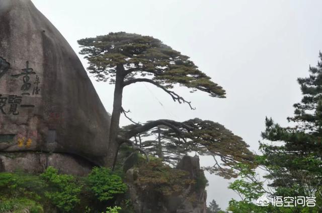 世界十大旅游胜地排行榜，世界十大最著名海滩是什么