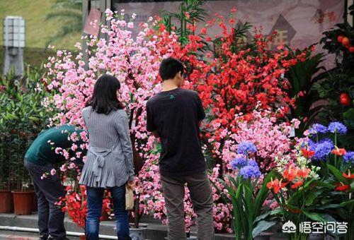 西宫花鸟市场:上海或者昆山有大型的卖狗场吗？狗狗怎么样？ 西宫花鸟市场最新消息