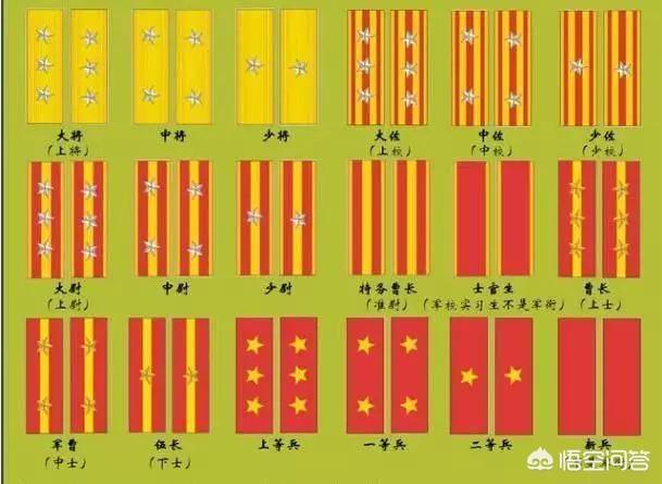 军曹,是二战时期,日本军队特有的现象,与其军队中的军衔等级和战斗