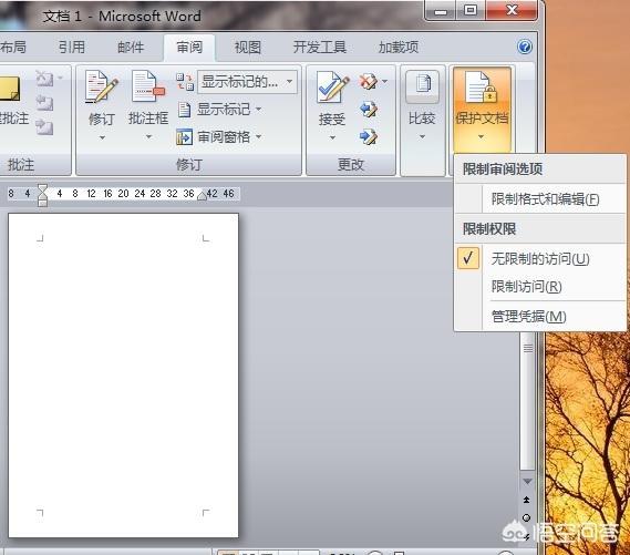 word文档禁用是怎么回事？