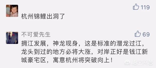 渔民被困钱塘江:南京长江上哪里可以观测到江豚？