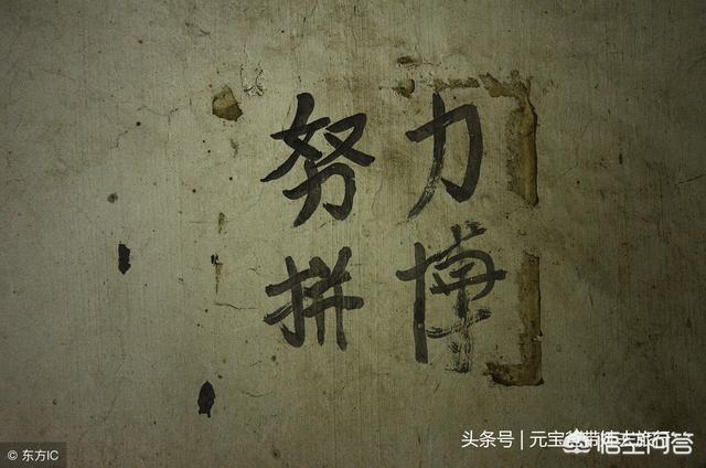 没有狗活不下去184p:现在一些买不起房、结不起婚的90后是不是很绝望？