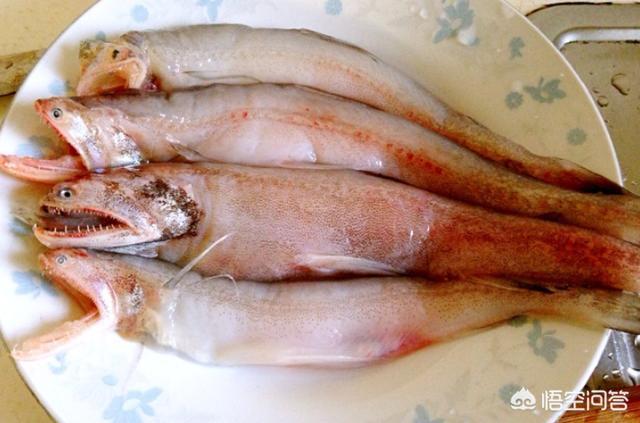 其实在沿海地区很多地方也有,也被叫做面条鱼,丝丁鱼,流鼻鱼,佃鱼等等