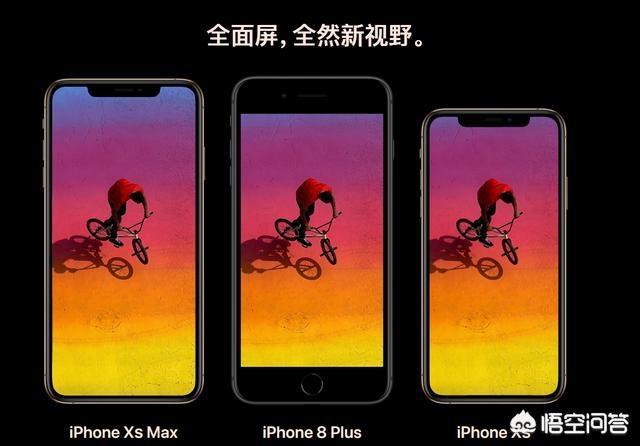 你觉得排名第一的手机是什么？