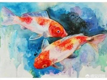 为什么都说转发锦鲤能带来好运(转发锦鲤真的有好运吗)