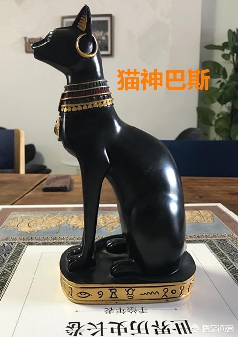 自然百科的猫为什么要吃老鼠:猫最喜欢吃鱼和老鼠是天性吗？