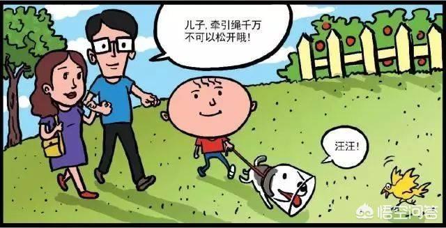 杭州牵犬师王春华:在小区里碰到遛狗不拴狗绳的人，并且态度很蛮横怎么办？