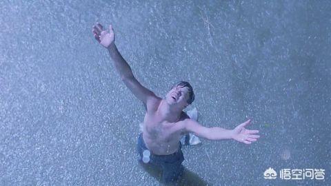 《肖申克的救赎》这部电影给了你什么启示？