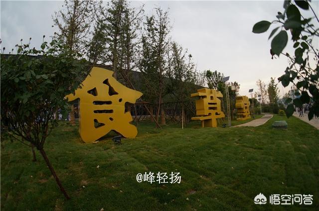 赵县柏林寺灵异事件:石家庄有什么免费的景点或便宜好玩的地方？