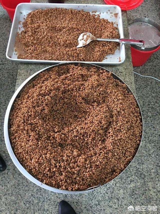 如何酿酒,个人怎样才能酿出高品质白酒？