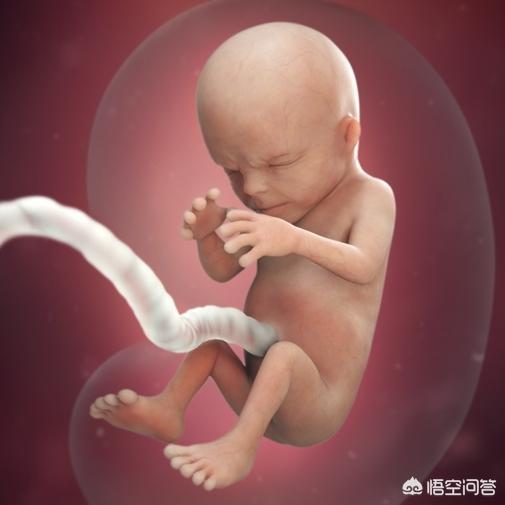 怀孕14周胎儿成型了吗？还是很想知道的？