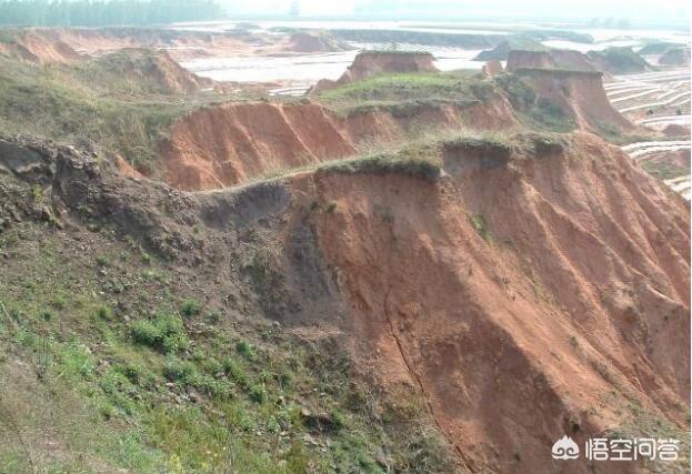 中国八三年蛇灾，明朝陕西华县大地震有多严重是如何救灾的